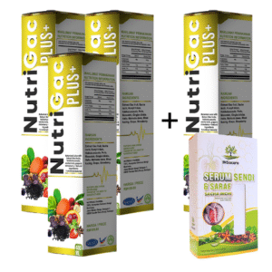 4 Botol Nutrigac Plus+
